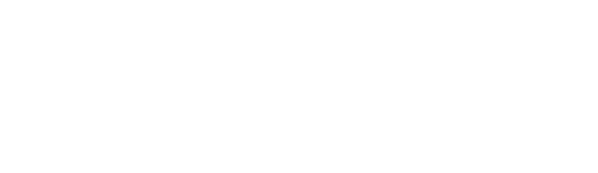 MIRROR logo.